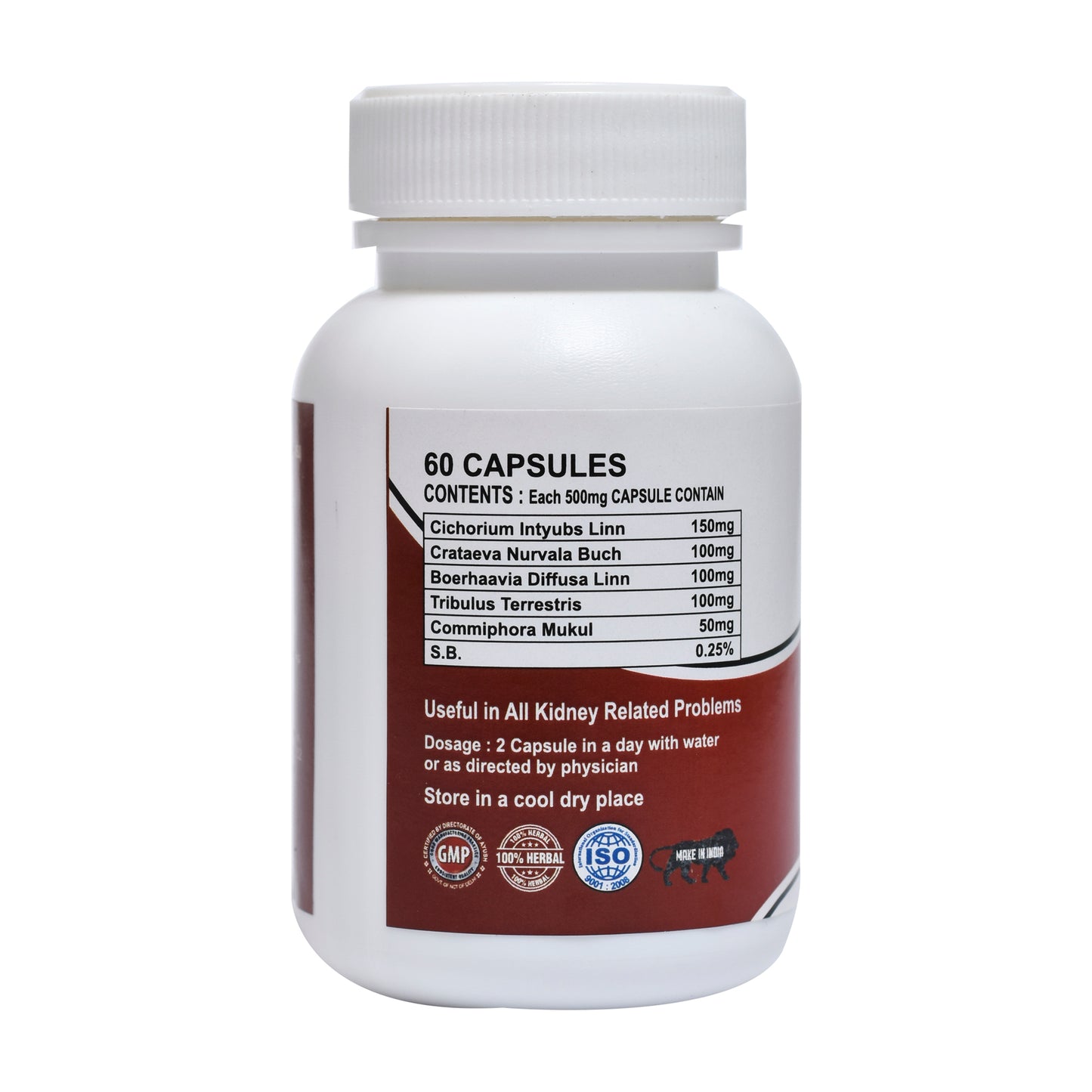 CKD CAPSULE (CHRONIC KIDNEY DISEASES)